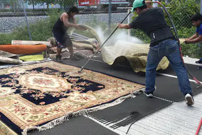 Rug Dusting Process Rug Dusting Process