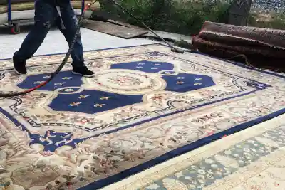 Rug Cleaning Process Rug Cleaning Process