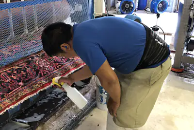 Soft Water Rinse Coral Gables Soft Water Rinse Coral Gables
