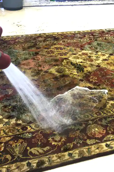 Rug Washing Service