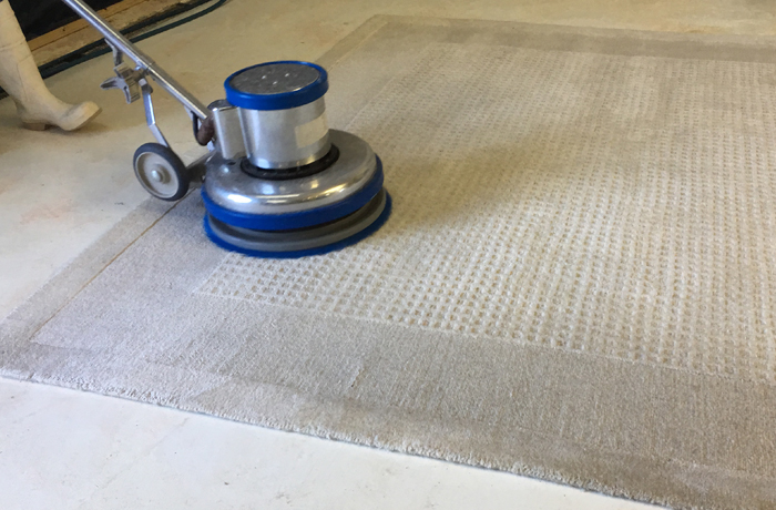 Area Rug Cleaning Services